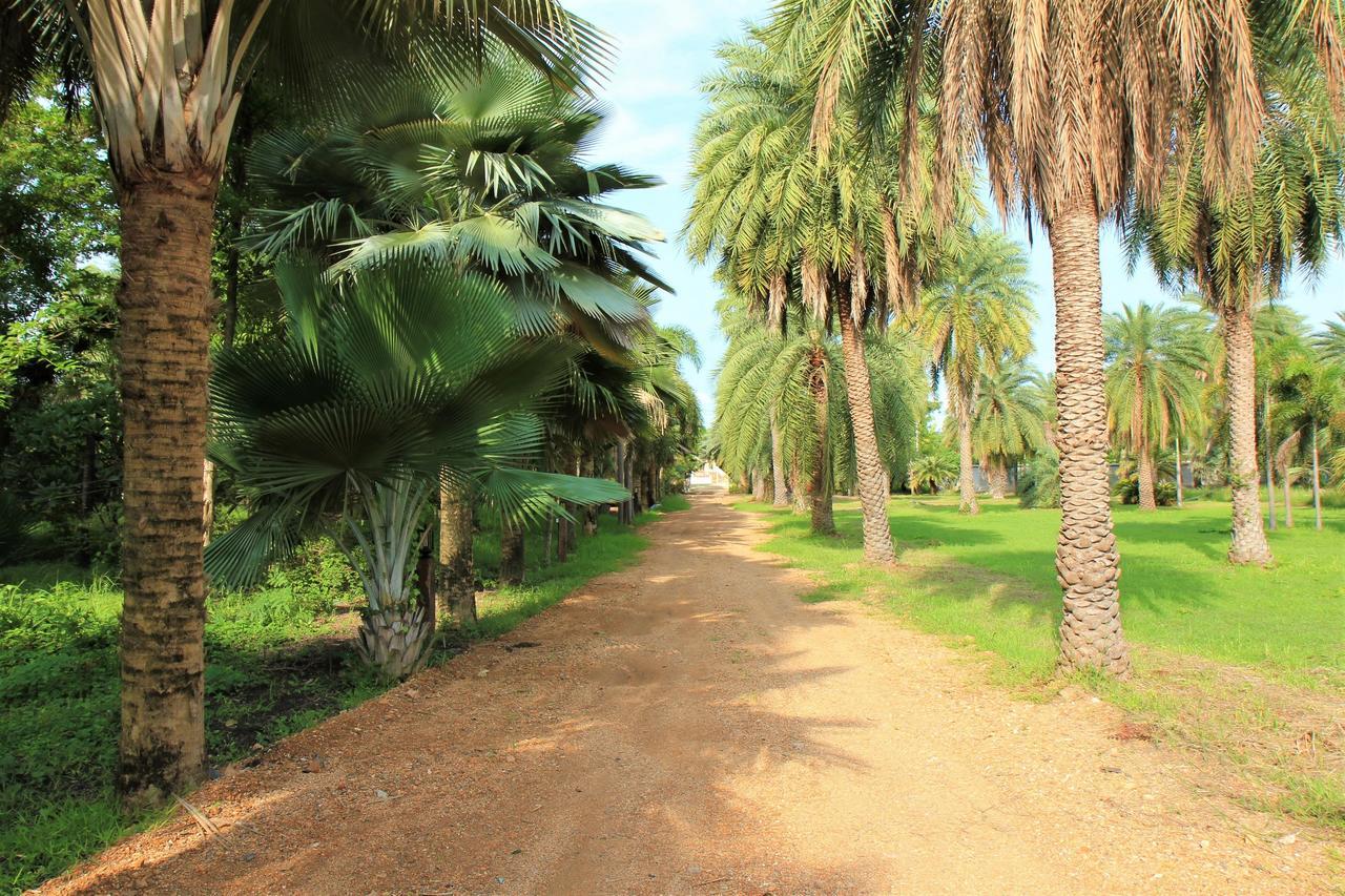 Lopburi Palm Resort Eksteriør bilde