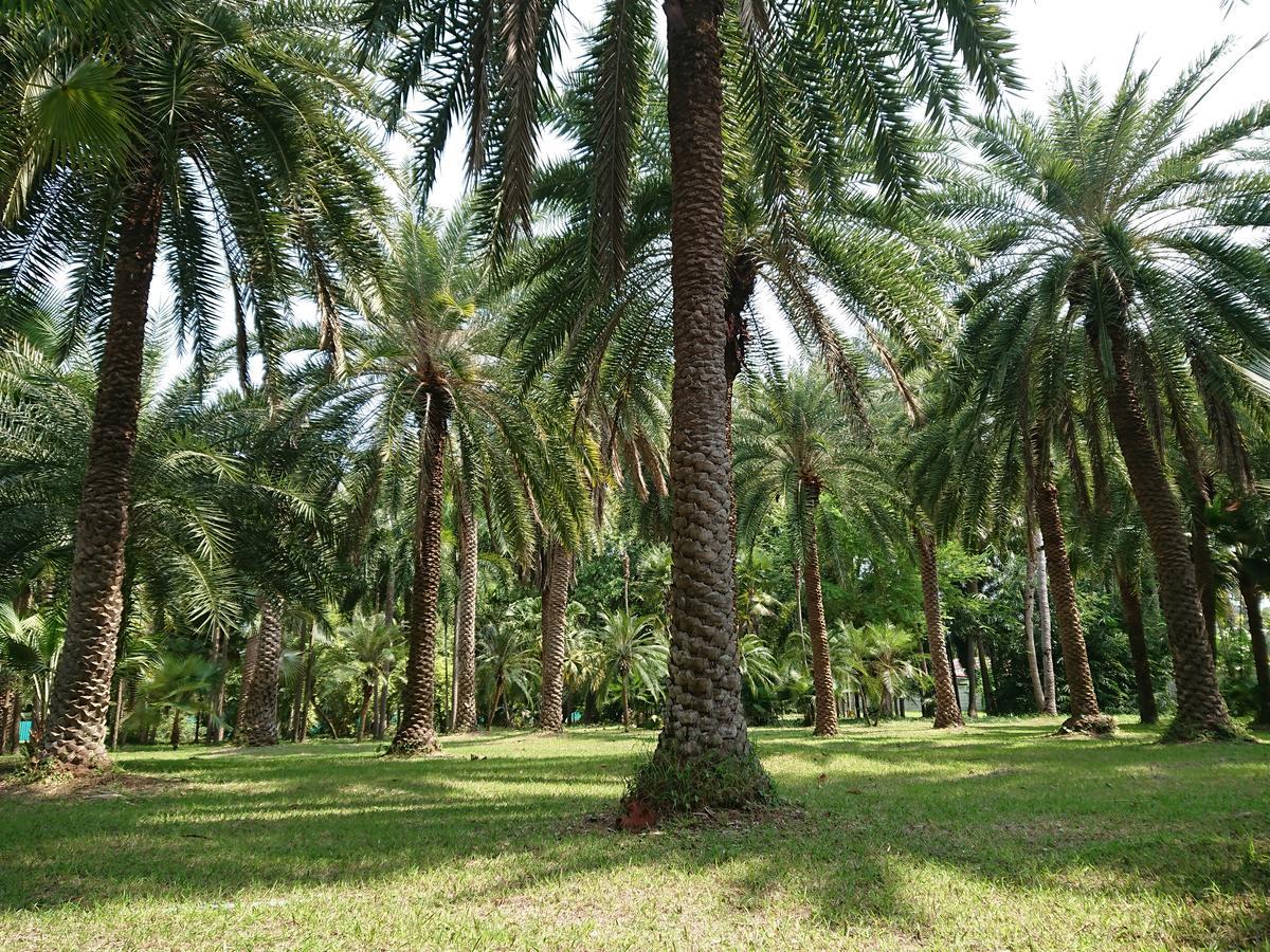 Lopburi Palm Resort Eksteriør bilde